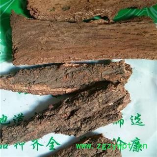 樟树皮 樟木皮 暴皮樟 豹皮樟 正品保证质量7天无理由退货退款 华安堂图3