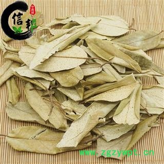 胡秃子叶厚的厚的厚胡颓子叶胡颓子一公斤起售量大从优专注品质，诚信信邦！图4