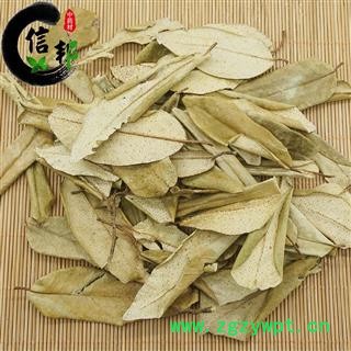 胡秃子叶厚的厚的厚胡颓子叶胡颓子一公斤起售量大从优专注品质，诚信信邦！图2