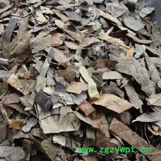 批把叶 巴叶 统货 产地 云南 华美中药 产地直销 重在品质图3