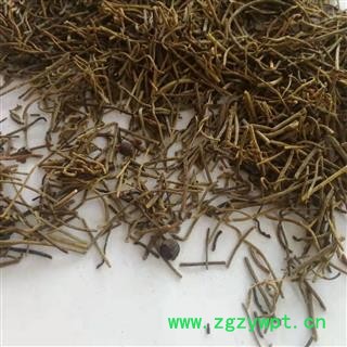 九盛堂中药材菟丝藤 无根草 无根藤 菟丝子藤 菟丝草图3