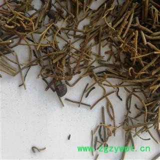 九盛堂中药材菟丝藤 无根草 无根藤 菟丝子藤 菟丝草图2