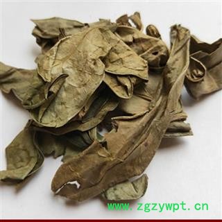 吉康药业龙利叶  龙脷叶 龙舌叶 龙味叶 牛耳叶新货无硫颜色好图2