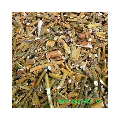 寄生 扁枝槲寄生统段 产地 广西壮族自治区