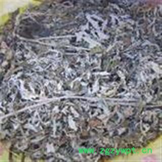 吉康药业 艾叶 统 产地 河北省保定市市辖区图2