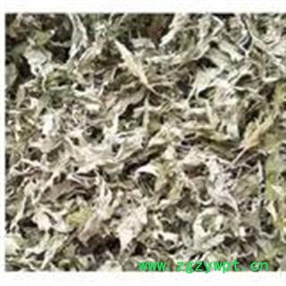 吉康药业 艾叶 统 产地 河北省保定市市辖区图4