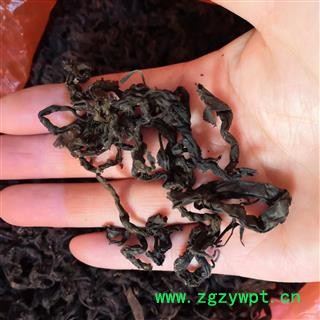 新辉药业杜仲  杜仲叶茶 优质茶饮图3