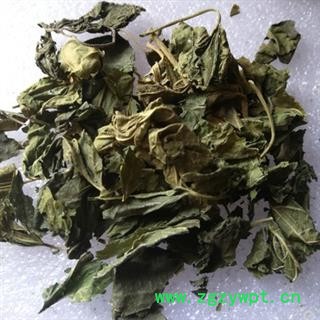 新辉药业正品优质霜桑叶 桑叶 优质新货图2