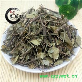 扶芳藤选段金线风 九牛造 靠墙风 络石藤 爬墙草 墙风 爬墙虎1000克直销图4