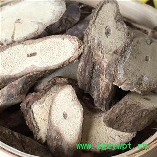 圣草康园乌骨藤 乌骨藤 奶浆藤 黄木香 通关散 通光散 下奶藤 地甘草 扁藤 癞藤子 白暗消 通关藤 确络风 牛耳风 火索藤图2