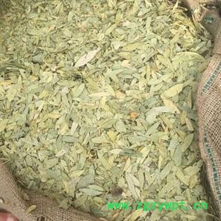 新辉药业番泻叶 泻叶图3