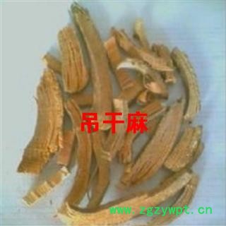 中药材吊干麻 苦皮藤  老虎麻   苦树皮 萝卜药图2