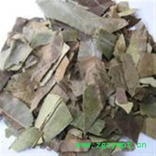 吉康药业中药材  石楠叶  丁香叶 野丁香 苦丁香图2