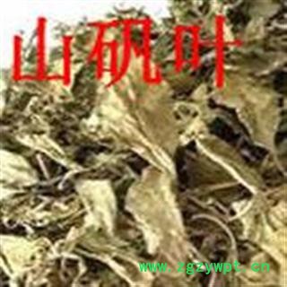 山矾叶 芸香叶 七里香叶 正品保证质量 安品堂图2