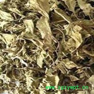 山矾叶 芸香叶 七里香叶 正品保证质量 安品堂图3