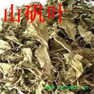 山矾叶 芸香叶 七里香叶 正品保证质量 安品堂图4