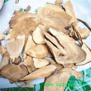 新辉药业中药材接骨木 公道老 扦扦活 马尿骚 大接骨丹图2