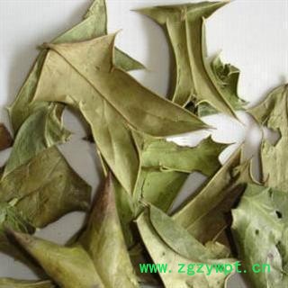 十大功劳叶 正品保证质量7天无理由退货退款 安品堂图2