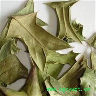 十大功劳叶 正品保证质量7天无理由退货退款 安品堂图4