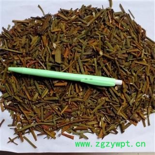 桑寄生 好统 产地 四川省绵阳市安县图2