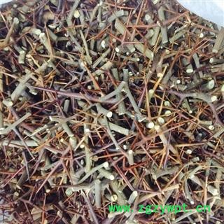 皂刺 好货 有皂针有树枝 针多树枝少  产地 山东省图2