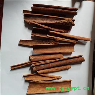 肉桂  烟桂 桂心  产地 广西壮族自治区贵港市覃塘区图2