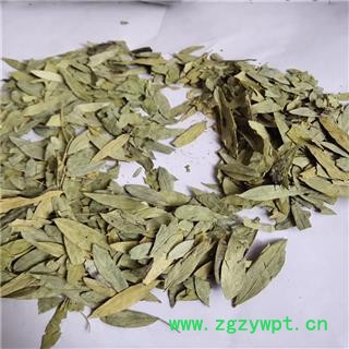 泻叶 番泻叶统货图2