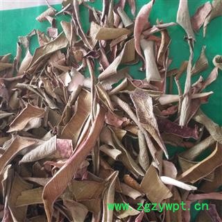 新辉药业优质花茶  芦荟叶 芦荟茶图2