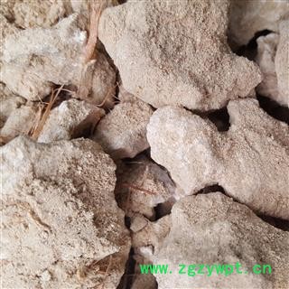 吉康药业梧桐泪 胡桐泪图2