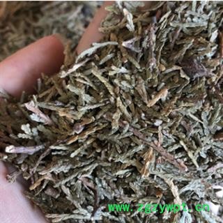 新辉药业中药材侧柏叶 侧柏树叶  扁柏  香柏图2