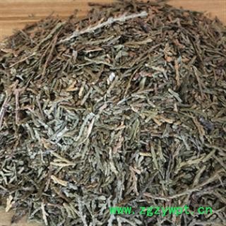 新辉药业中药材侧柏叶 侧柏树叶  扁柏  香柏图3