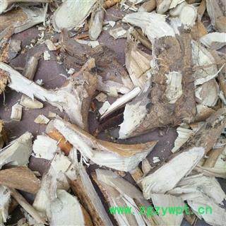 新辉药业楮叶 楮根图2