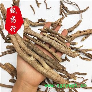 五加皮 香五加皮统货 一手货源批发 产地山西 甄选药材行 甄药行图3