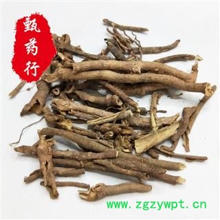 五加皮 香五加皮统货 一手货源批发 产地山西 甄选药材行 甄药行图2