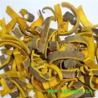 川黄柏 统 产地 四川省  产地直销  重在质量图2