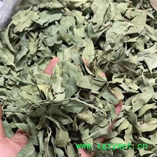 新辉药业罗布麻叶 罗布麻花图2