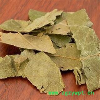 新辉药业中药材枇杷叶  还有枇杷花图2