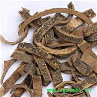 海桐皮 正品海桐皮 好统货 产地 四川省图2