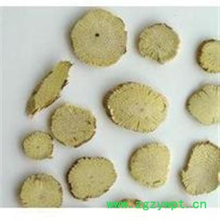 中药材 白木通 川木通图2