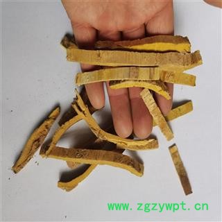 黄柏 01 产地 黑龙江省双鸭山市宝山区图2