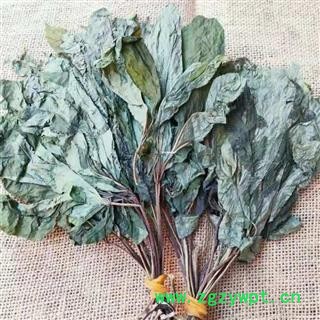 人参叶 净500克 正品保证质量7天无理由退货退款 安品堂图4