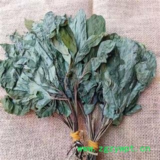 人参叶 净500克 正品保证质量7天无理由退货退款 安品堂图2