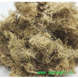 松萝 云雾草 松叶正品包子质量无理由退货退款图4