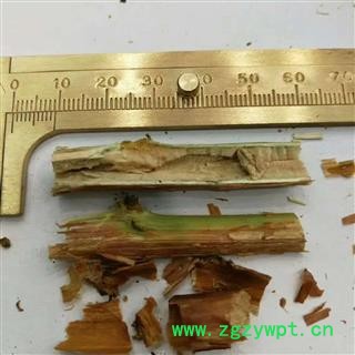 中药材 悬钩子图2