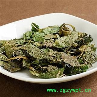 桑叶统货正品保证质量 中药材批发 丽丽药业图2