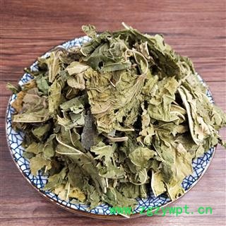 桑叶统货正品保证质量 中药材批发 丽丽药业图3