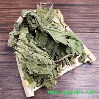 桑叶统货正品保证质量 中药材批发 丽丽药业图4