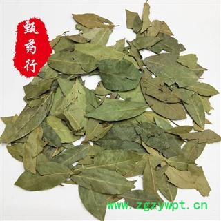 香叶 色绿选货碎叶少 一手货源批发 产地广西 甄选药材行 为你真选好药材图2