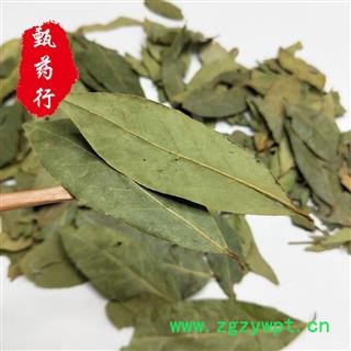 香叶 色绿选货碎叶少 一手货源批发 产地广西 甄选药材行 为你真选好药材图4