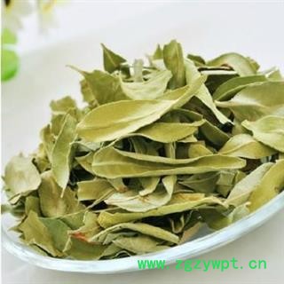 罗布麻叶 选货 新货颜色好 质量好价格低 产地直销 产地 新疆维吾尔自治区图2